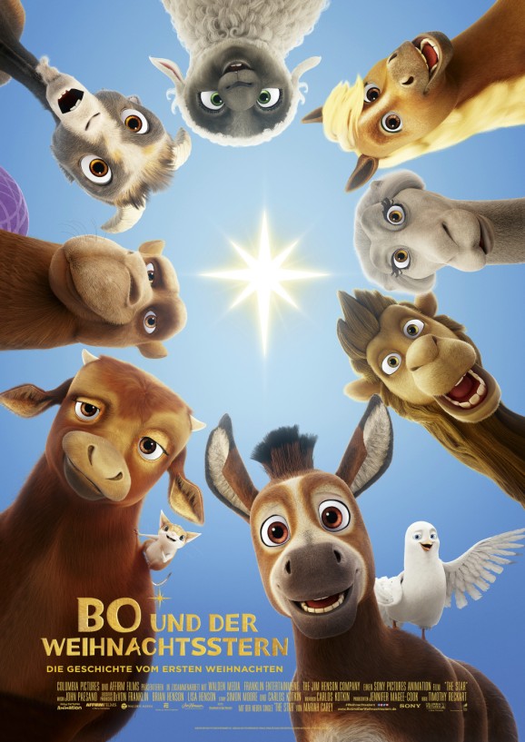 Bo-Weihnachtsstern-Poster