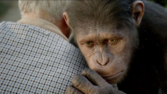 Da lief es noch mit den Menschen - Cesar (Andy Serkis) in PLANET DER AFFEN PREVOLUTION © 2011 Twentieth Century Fox