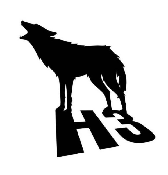 hangover Logo
