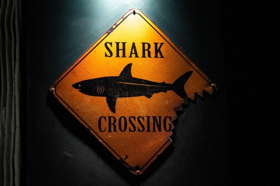 Shark Crossing